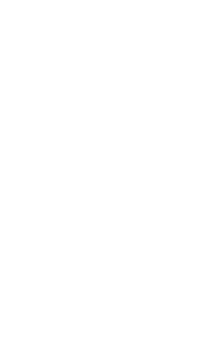 Mistic sun